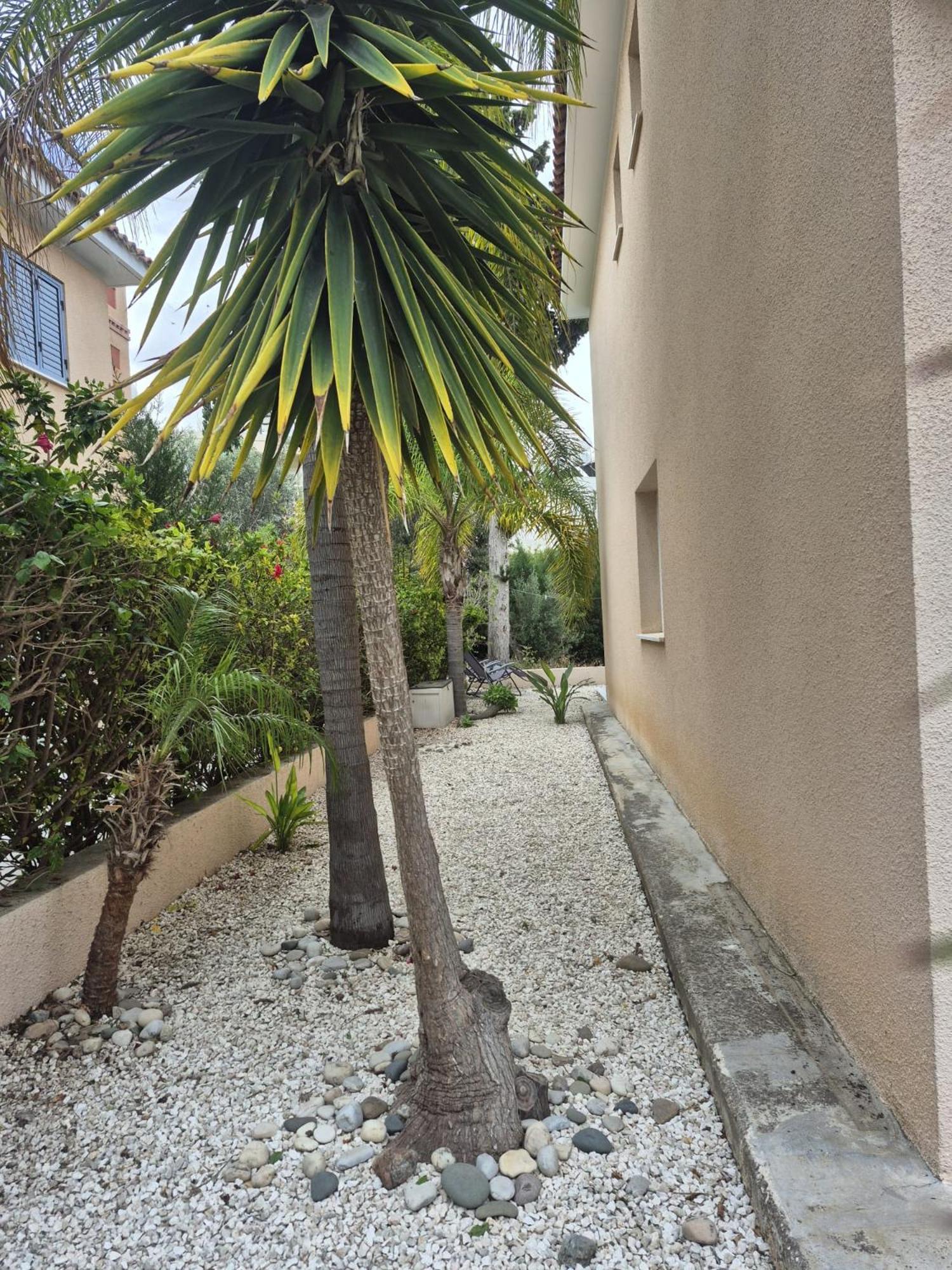 Casa Del Sol Townhouse In Iris Village 파포스 외부 사진